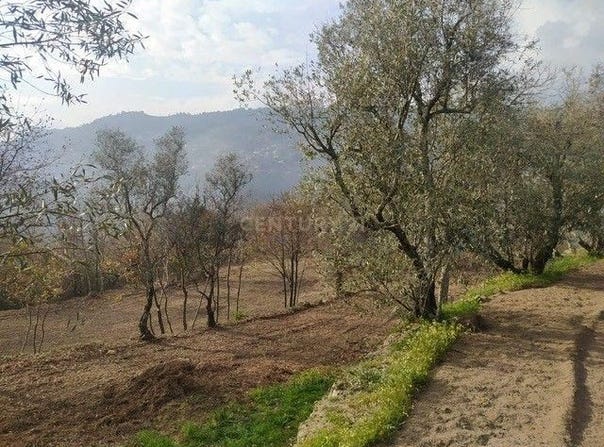 São Cristóvão de Nogueira, Viseu District