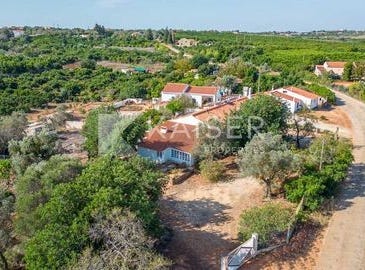 Silves, Silves