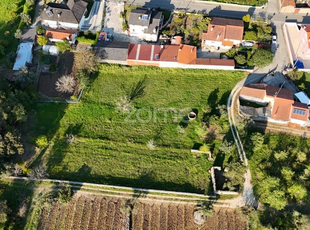Cantanhede, Coimbra District