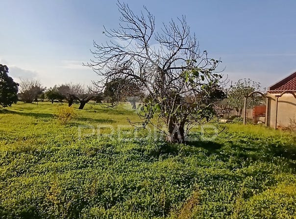 Quinta do Anjo, Palmela, Setubal 2950