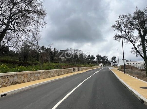 Ponte de Lima, Viana do Castelo District