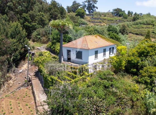 Caniço, Santa Cruz, Madeira