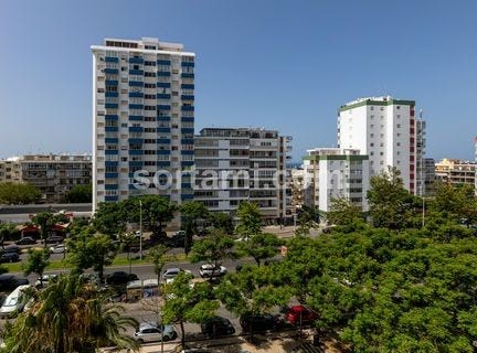 Loule, Faro
