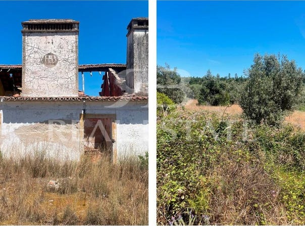 Montargil, Portalegre 7425