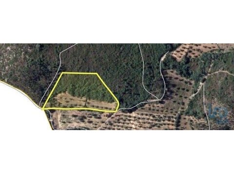Ferreira do Zêzere, Santarém 2240-300