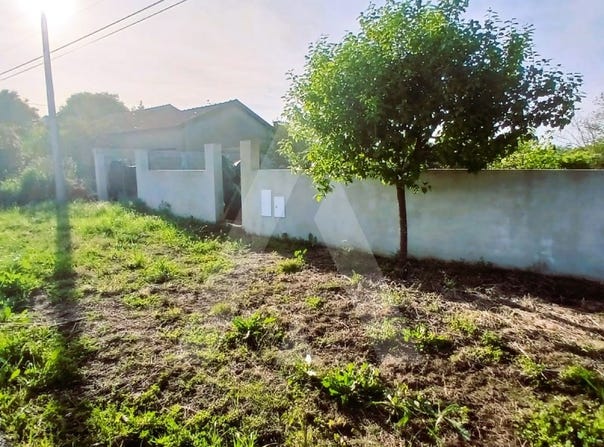 Aradas, Aveiro District