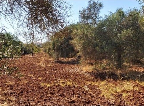 Paderne, Algarve