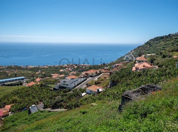 Arco Da Calheta, Madeira 9370