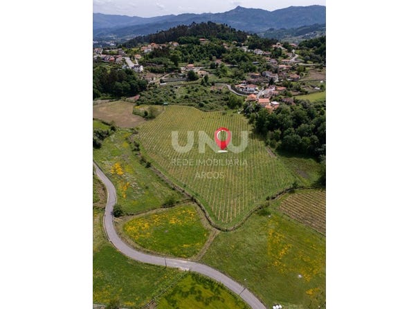 Souto e Taba, Viana Do Castelo 4970