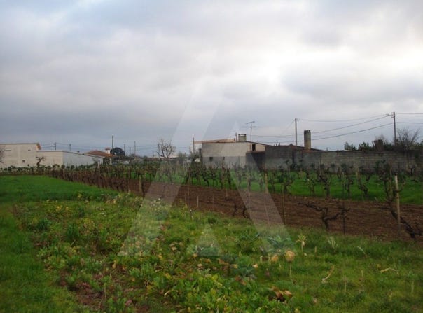 Águeda, Aveiro District