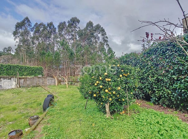 Oliveira de Azeméis, Aveiro District