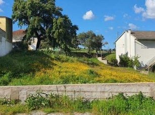 Castelo Branco, Castelo Branco 6000-457