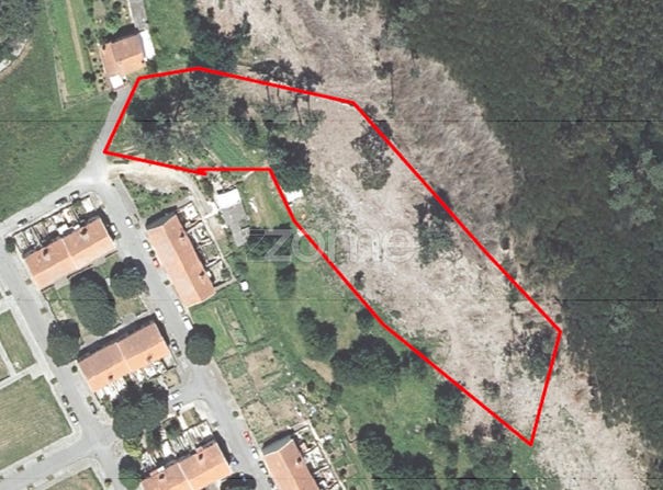 Viana do Castelo, Viana do Castelo District