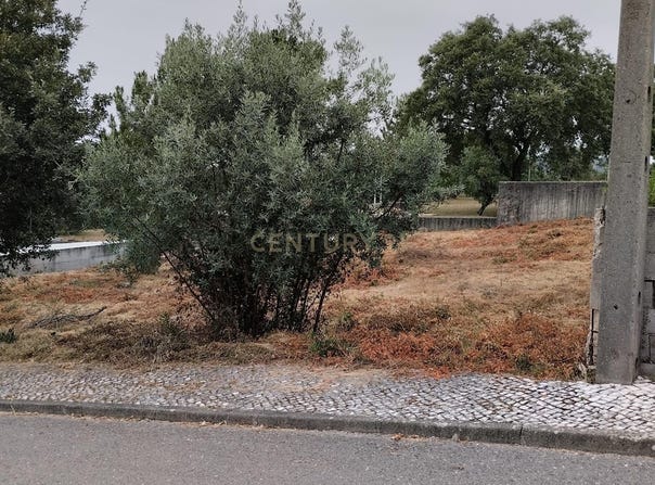 Pombal, Leiria District