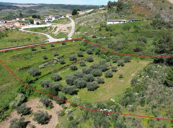 Vila Real, Vila Real District