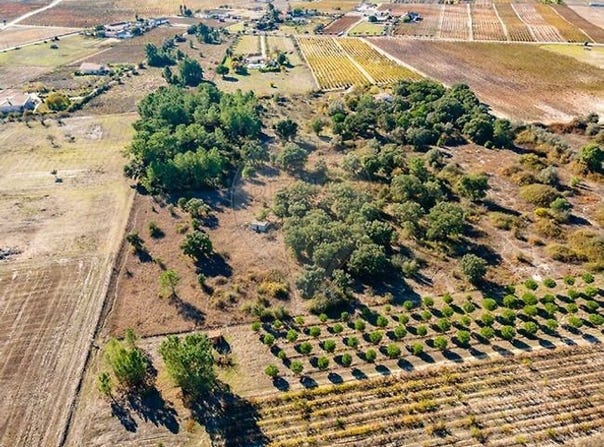 Setúbal, Setubal 2965