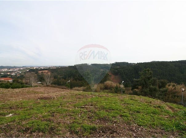 Leiria, Leiria District 2510
