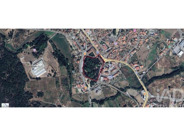 Vila Real, Vila Real District