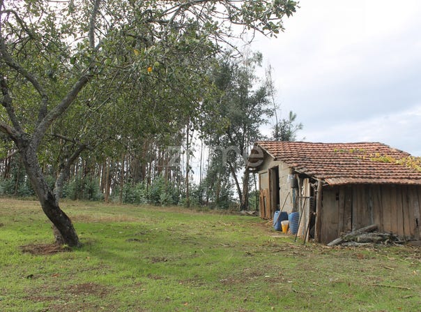 Gondomar, Porto District