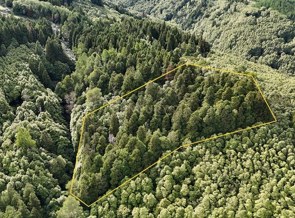 Ilha de São Miguel, Azores