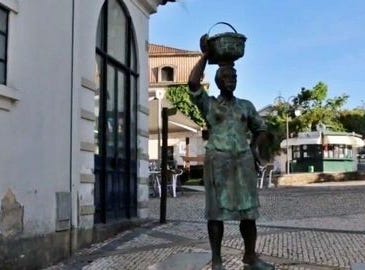 Macedo de Cavaleiros, Bragança 5340-201