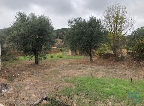 Alcoutim, Faro 8970-051