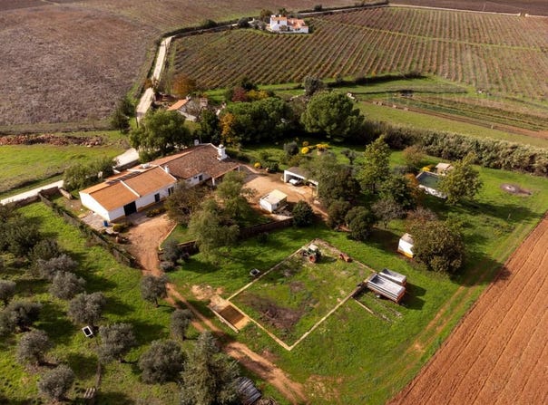Borba (Matriz), Évora 7150