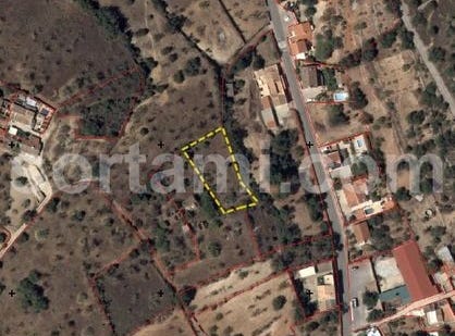 Loule, Faro