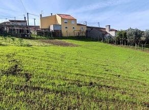 Figueiró dos Vinhos, Leiria 3260-035