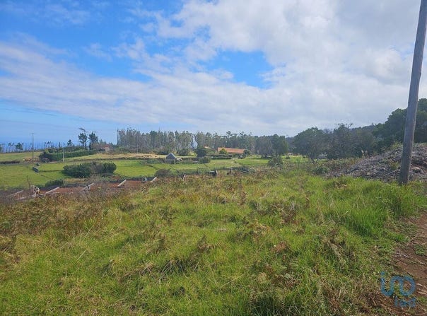 Achadas Da Cruz, Madeira 9270