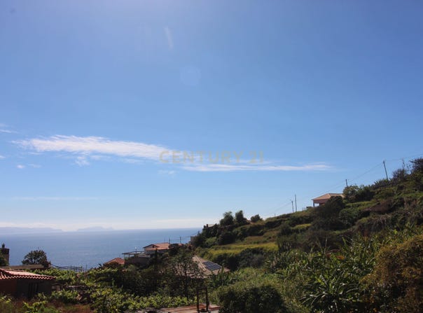 Ilha da Madeira, Madeira
