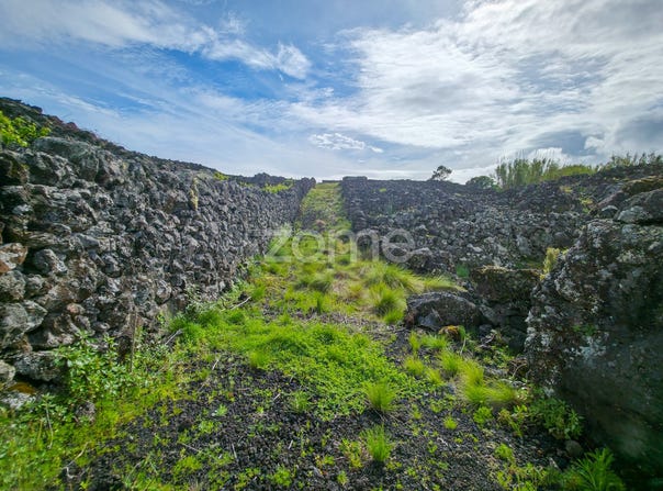 Madalena, Azores