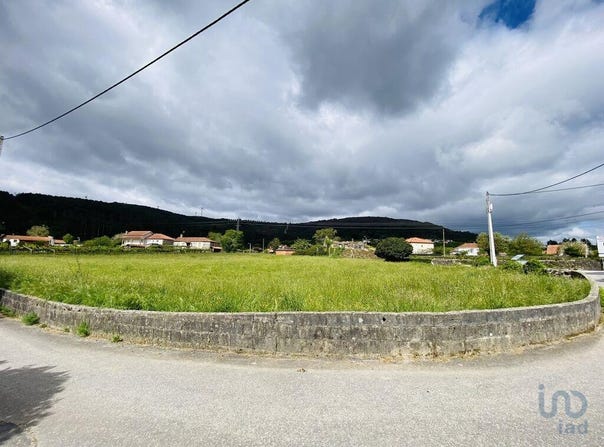 Viana do Castelo, Viana do Castelo District