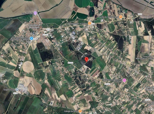 Salvaterra de Magos, Santarém District 2120-221