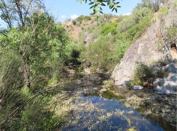 Castelo Branco, Castelo Branco District 6000