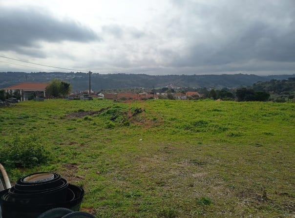 Olival, Santarém District