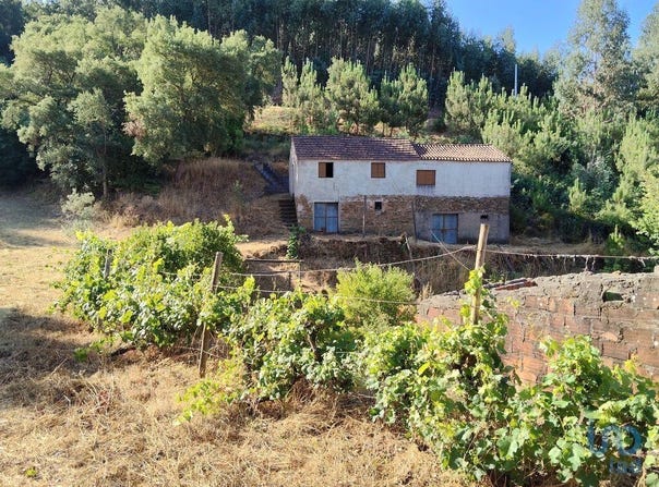 Madeirã, Castelo Branco 6160