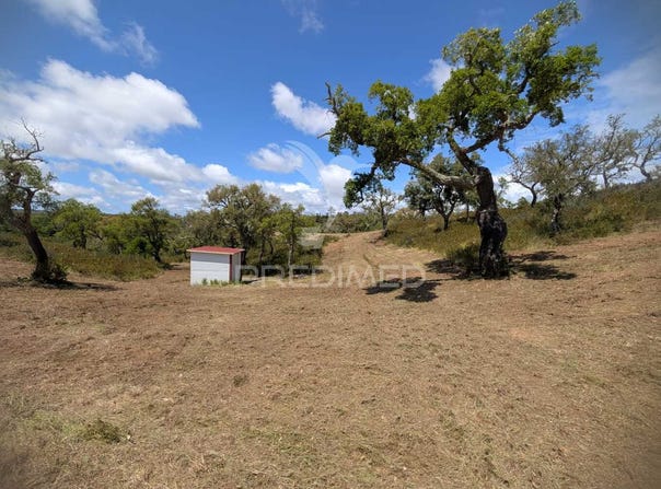 Grândola e Santa Margarida da Serra, Grândola, Setubal 7570