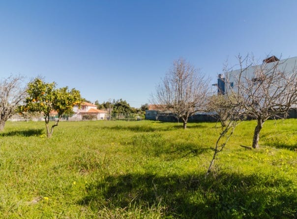Cantanhede e Pocariça, Coimbra District