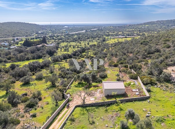 Moncarapacho, Algarve