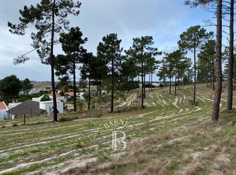 Comporta, Casas da Colina, Lagoa Formosa, Lote 35, Carvalhal, Setúbal 7570-779