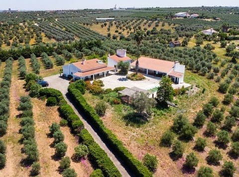 Moura, Beja