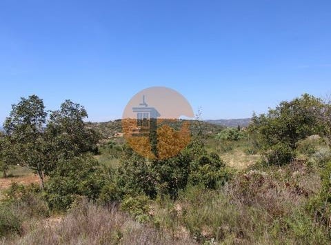 Cerro de São Miguel, Faro, Faro