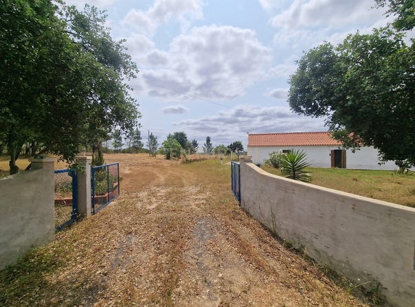 Abela, Setubal