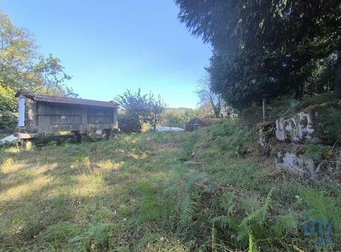 Vieira do Minho, Braga 4850-331