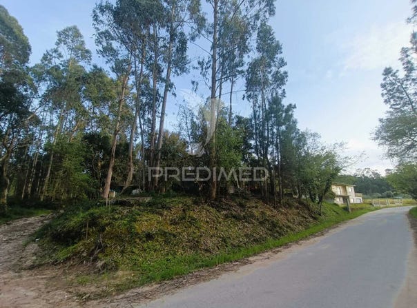 Gondemaria e Olival, Ourém, Santarém District 2490