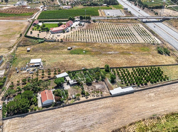 Quinta do Anjo, Setubal