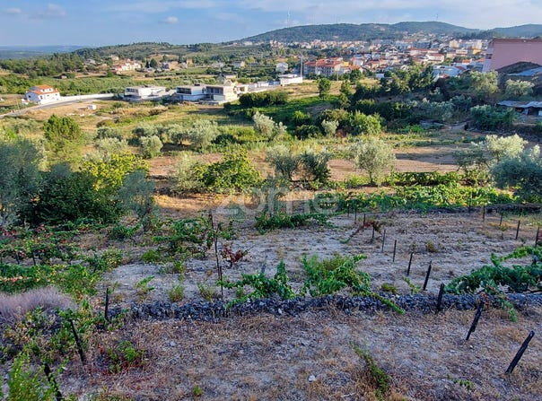 Moimenta da Beira, Viseu District