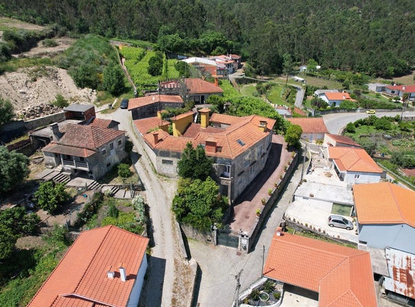 Palmeira de Faro e Curvos, Braga