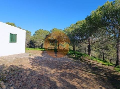 Fonte Judeu Morto, Castro Marim, Faro